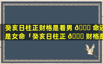 癸亥日柱正财格是看男 🍁 命还是女命「癸亥日柱正 🐋 财格是看男命还是女命好」